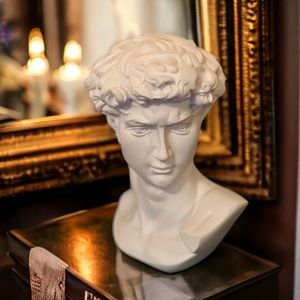 Michelangelo's David Bust